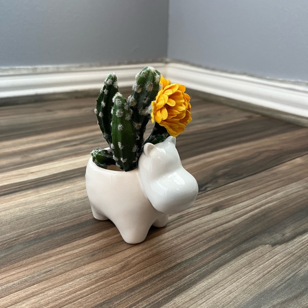 Hippo succulent holder